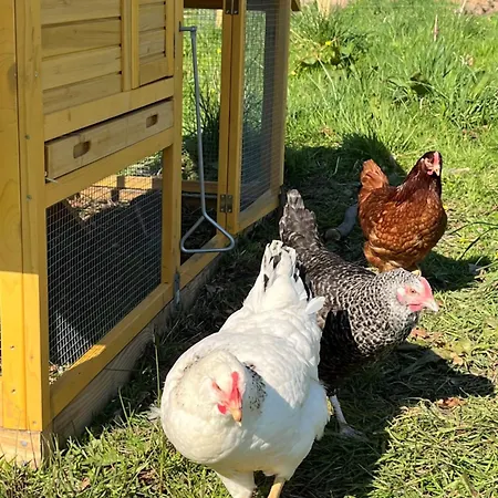 Avec Piscine Et Jacuzzi - Normandie La Carneille