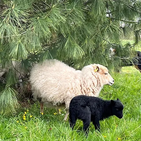 Avec Piscine Et Jacuzzi - Normandie *