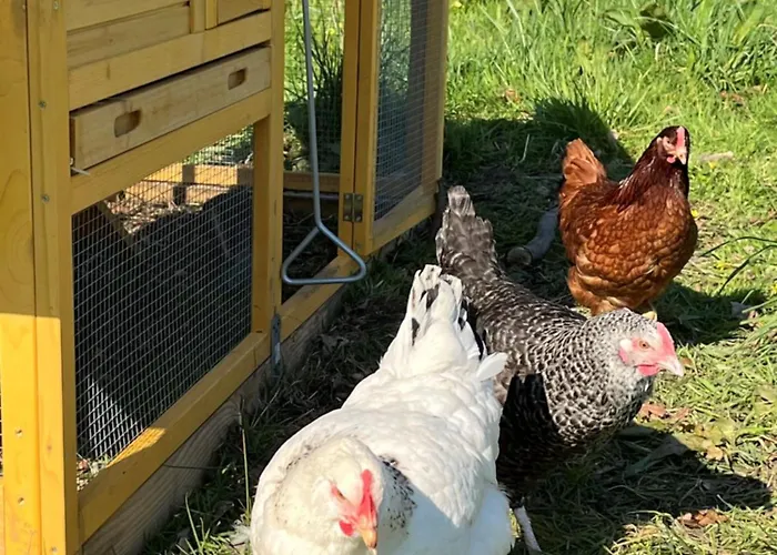 Avec Piscine Et Jacuzzi - Normandie La Carneille
