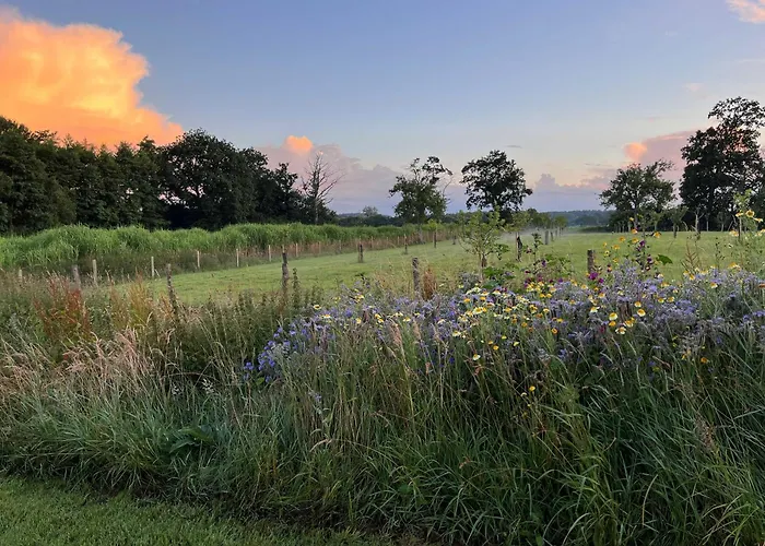 Avec Piscine Et Jacuzzi - Normandie * La Carneille